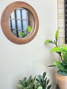 two potted plants and a round mirror on the wall in front of a window