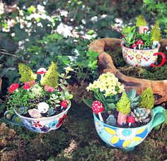 three pots filled with plants sitting on top of a moss covered ground in the woods