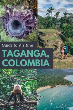 the ultimate guide to visiting tagangaa, colombia with pictures and text overlay