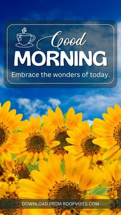 sunflowers with the words good morning embrace the wonders of today on it's screen