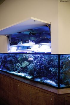 an aquarium is shown in the middle of a room with cabinets and counter tops on both sides