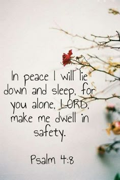 Psalm 4:8 Following God, Psalm 4 8, Lisa Bevere, Psalm 4, Positive Sayings, Inner Peace Quotes, Healing Scriptures, Her Book, Prayer Scriptures