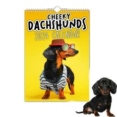 a black and brown dachshund calendar with sunglasses on it's face