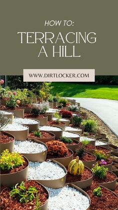 a garden filled with lots of different types of flowers and plants in pots on the side of