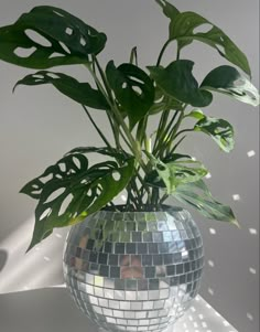 a plant in a disco ball vase on a table