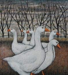 three white geese are walking in the grass