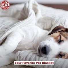 a dog laying on top of a bed under a blanket with the words your favorite pet blanket