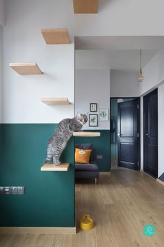 a cat sitting on top of a wooden shelf next to a green wall in a living room