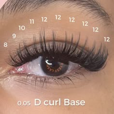 Classic Individual Lashes Black Women, Round Eye Eyelash Extensions, Eyelash Extensions Styles Mapping, Lash Extensions Styles Asian Eyes, Eyelashes Extensions Styles, Eyelash Mapping Lash Extensions, Whispy Lashes Extensions Map, Wispy Lash Extensions Mapping, Eyelash Extensions Mapping Styles