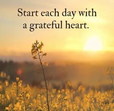 a field with yellow flowers in the foreground and a quote about start each day with a grateful heart