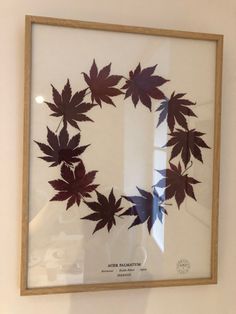 an art piece is hanging on the wall in front of a glass frame with leaves