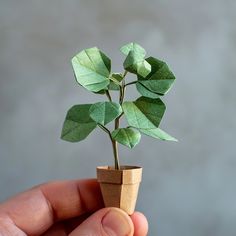 a hand holding a small potted plant in it's left side, with leaves sprouting from the top