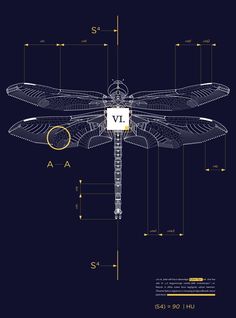 a blueprint drawing of a dragonfly with the letter v in it's center