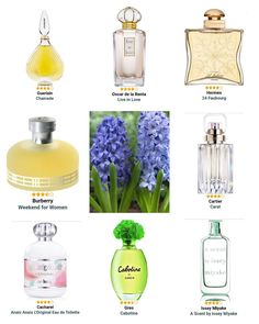 Spring Perfume, Perfume Display, Wear Perfume, Essential Oil Perfume, Best Perfume