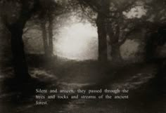 an image of a dark forest with light coming through the trees and words written on it