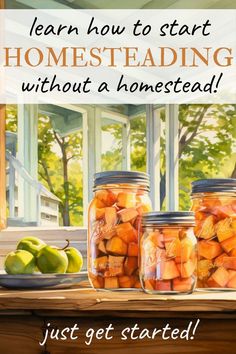 three jars filled with apples sitting on top of a table next to an open window