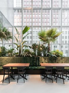 an indoor dining area with tables, chairs and potted plants in front of large windows