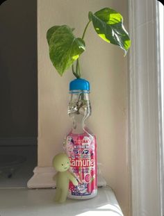 a plant is growing out of a bottle on a shelf next to a window sill