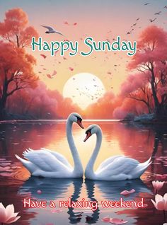 two swans floating on top of a lake in front of a sunset with the words happy sunday have a relaxing weekend