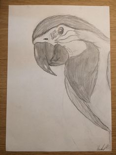 a drawing of a bird with its beak open