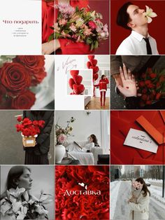 the collage is full of red and white flowers, black and white photos, and text