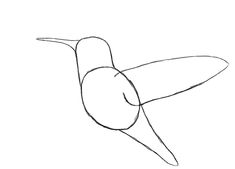 a line drawing of a hummingbird flying in the air with its wings spread out