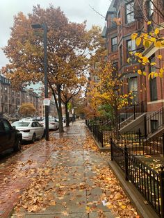 the sidewalk is covered with leaves and has many cars parked along it on both sides