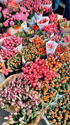 many different types of flowers on display at a market