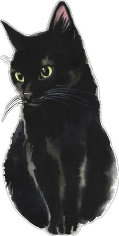 a black cat with yellow eyes sitting down