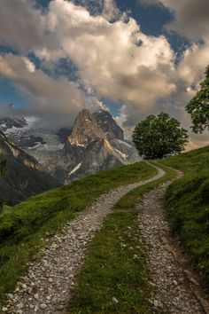 a dirt road in the middle of a grassy field with mountains in the background and clouds overhead