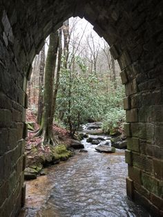 a river flowing under a stone bridge in the woods