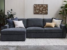 a gray couch sitting in front of a potted plant on top of a rug