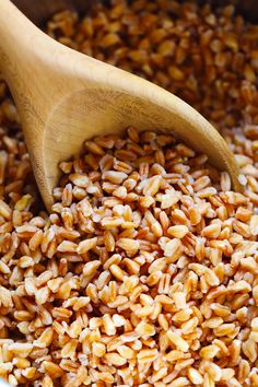 a wooden spoon in a pot filled with brown rice