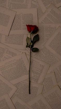 a single red rose sitting on top of an old book page covered in paper sheets