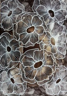 some white and brown flowers on a marble counter top, with the center piece cut out to look like an intricate flower