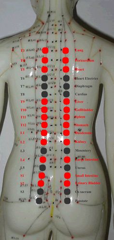 Punkty Spustowe, Body Massage Techniques, Bolesti Chrbta, Point Acupuncture, Hand Reflexology, Reflexology Chart, Reflexology Massage, Cupping Therapy, Shiatsu Massage