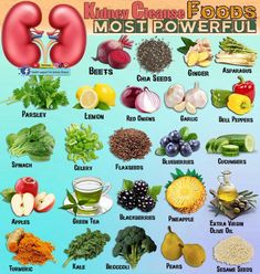 There's one vitamin that is proven to help slow down kidney disease.One vitamin can remove uric acid from the kidneys.One vitamin can lower creatinine levels... Herbs For The Kidneys, Kidney Cleansing Foods, Best Kidney Foods, Kidney Healing Foods, Best Foods For Kidney Health, Foods For Kidney Health Renal Diet, Kidney Friendly Lunch Ideas, Food Good For Kidneys, Herbs For Kidney Health