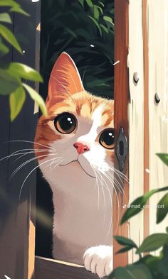 an orange and white cat looking out from behind a wooden fence with green plants in the background