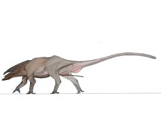 an artist's rendering of a dinosaur with long legs and tail, walking on the ground