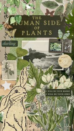 an altered collage with flowers, plants and pictures on it's side that says the human side or plants