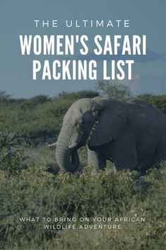 the ultimate women's safari packing list what to bring on your african wildlife adventure