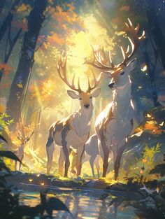 two deer standing next to each other in the forest