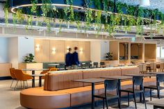 a restaurant with tables, chairs and plants hanging from the ceiling