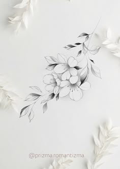 an artistic drawing of flowers and leaves on a white background with the words prima romantizza written below it