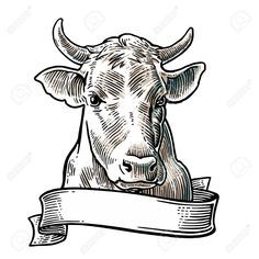 a black and white drawing of a cow's head with horns, looking at the camera