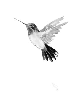 a black and white drawing of a hummingbird flying in the air with its beak open