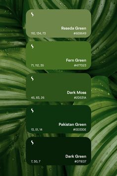 swatch of 5 different green color shades Color Theory Art, Color Palette Inspiration, Fonts Creative, Christmas Color Palette, Pantone Palette, Green Color Palette, Color Design Inspiration, Green Palette, Palette Inspiration