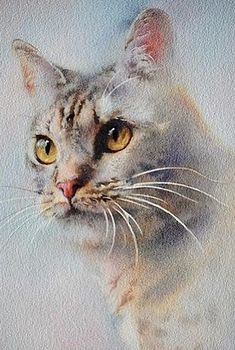 a watercolor painting of a cat with yellow eyes and whiskers on it's face