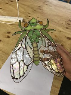 Cicada Tattoo Shop Stained Glass Cicada, Beetle Stained Glass Pattern, Stained Glass Insects, Stained Glass Beetle, Stained Glass Bugs, Stained Glass Windows Patterns, Stained Glass Art Patterns, Stained Glass Moth, Stained Glass Aesthetic