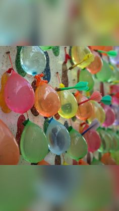 colorful glass spoons are hanging on a wall